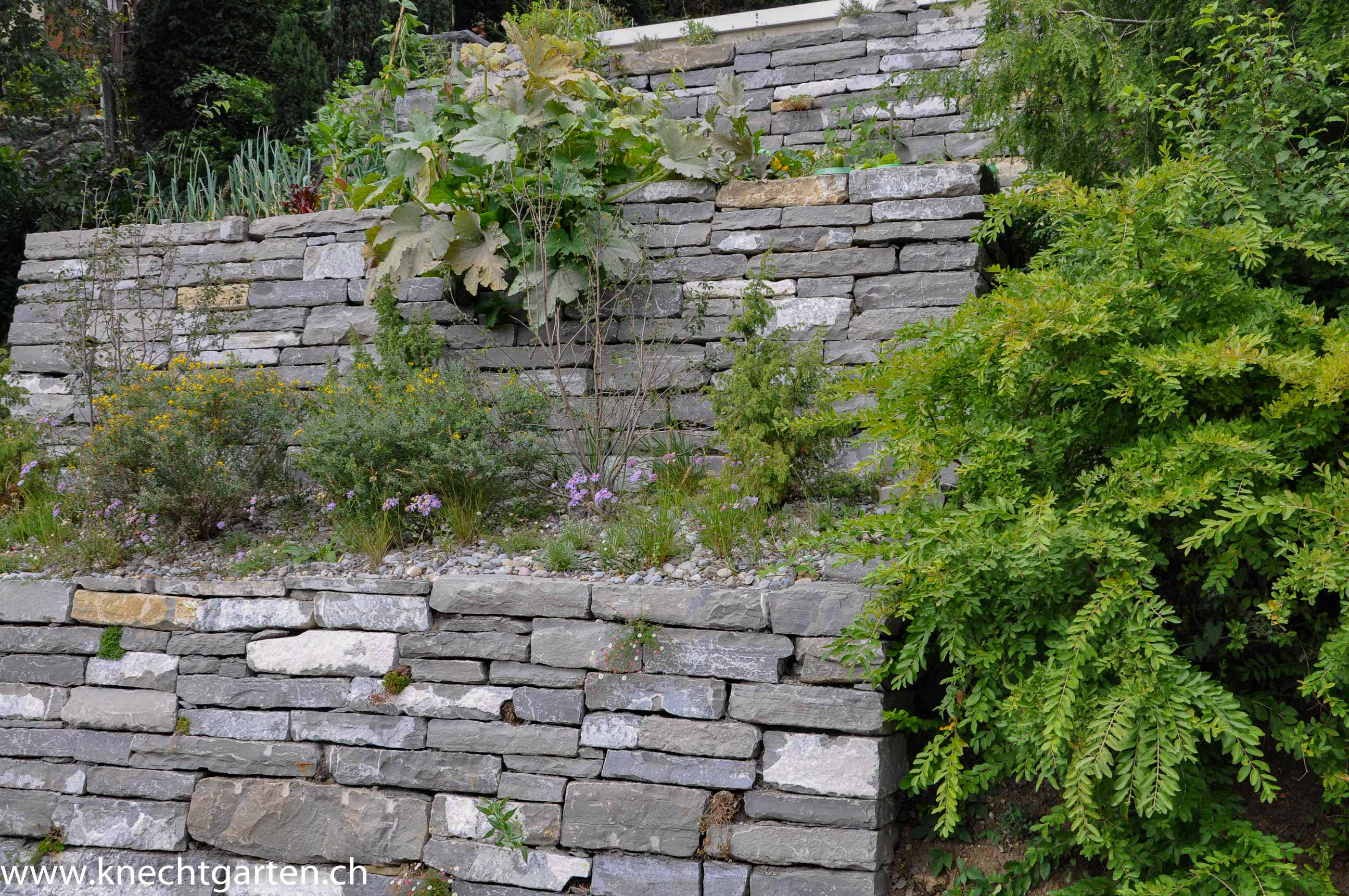 Natursteinmauer-Abtreppung aus grau-weissen Kalksteinen zur Hangsicherung