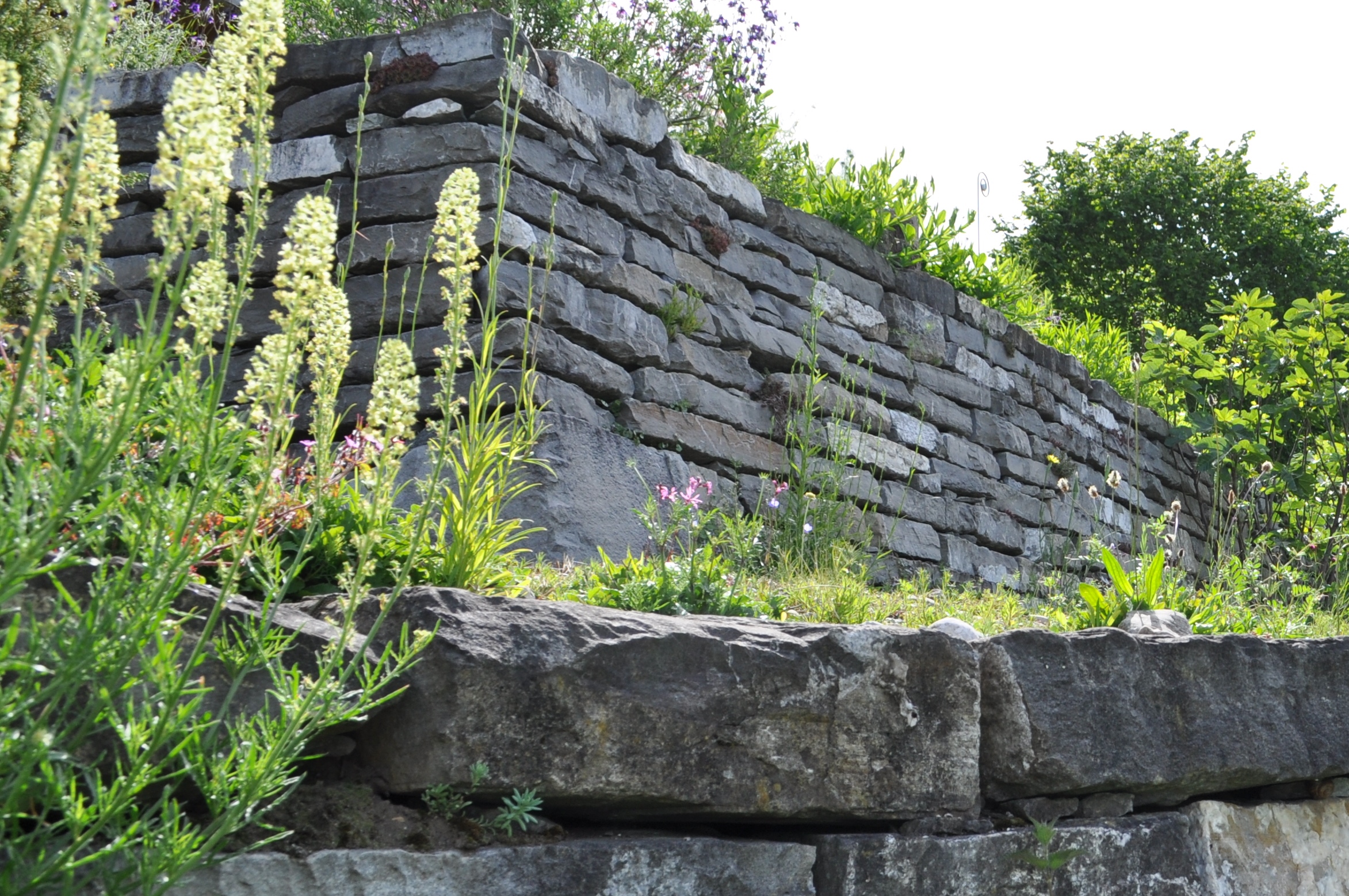 Natursteinmauer aus rustikalen Kalksteinblöcken als Stützmauer zur Hangsicherung