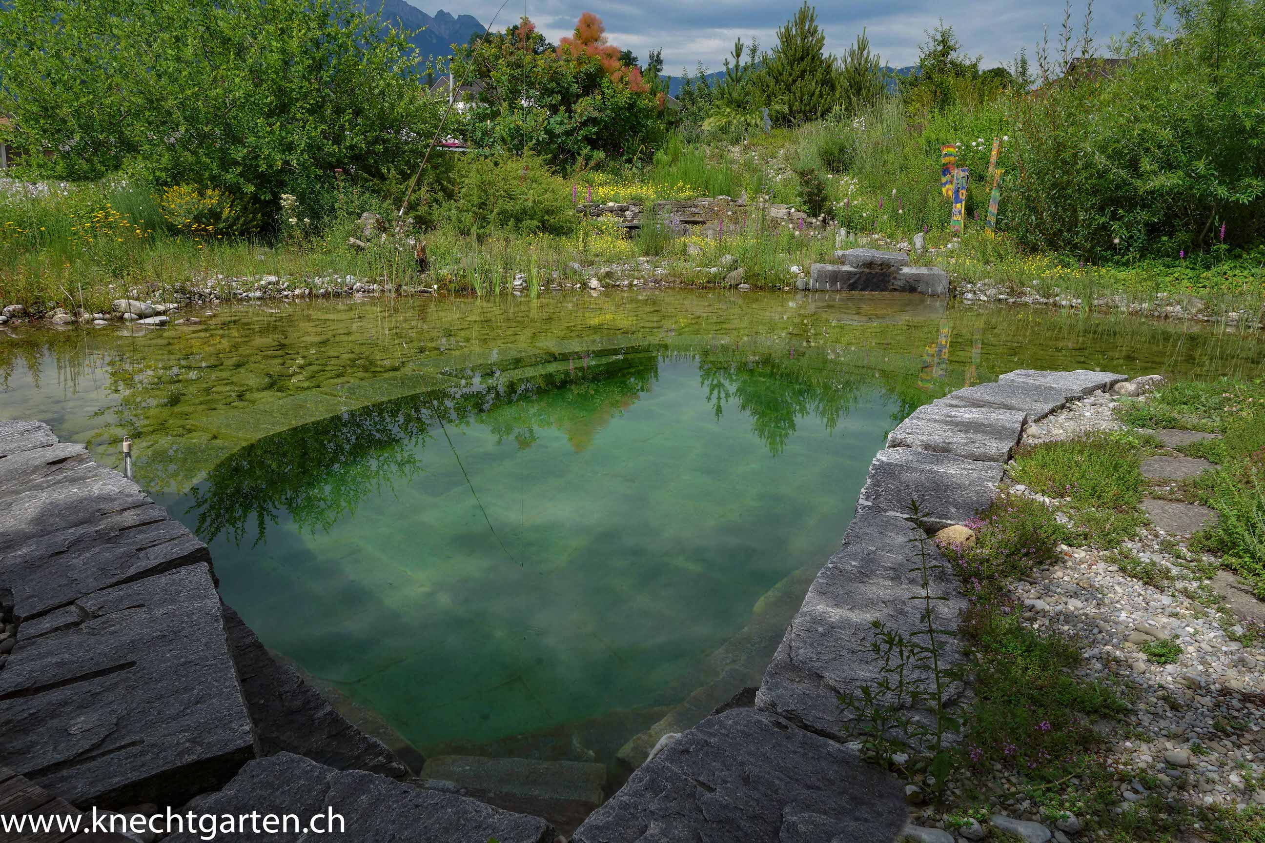 Schwimmteich von swissteich