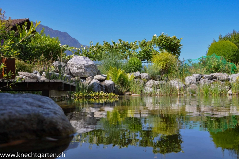 Wassergarten mit grossen Natursteinen und Uferbepflanzung