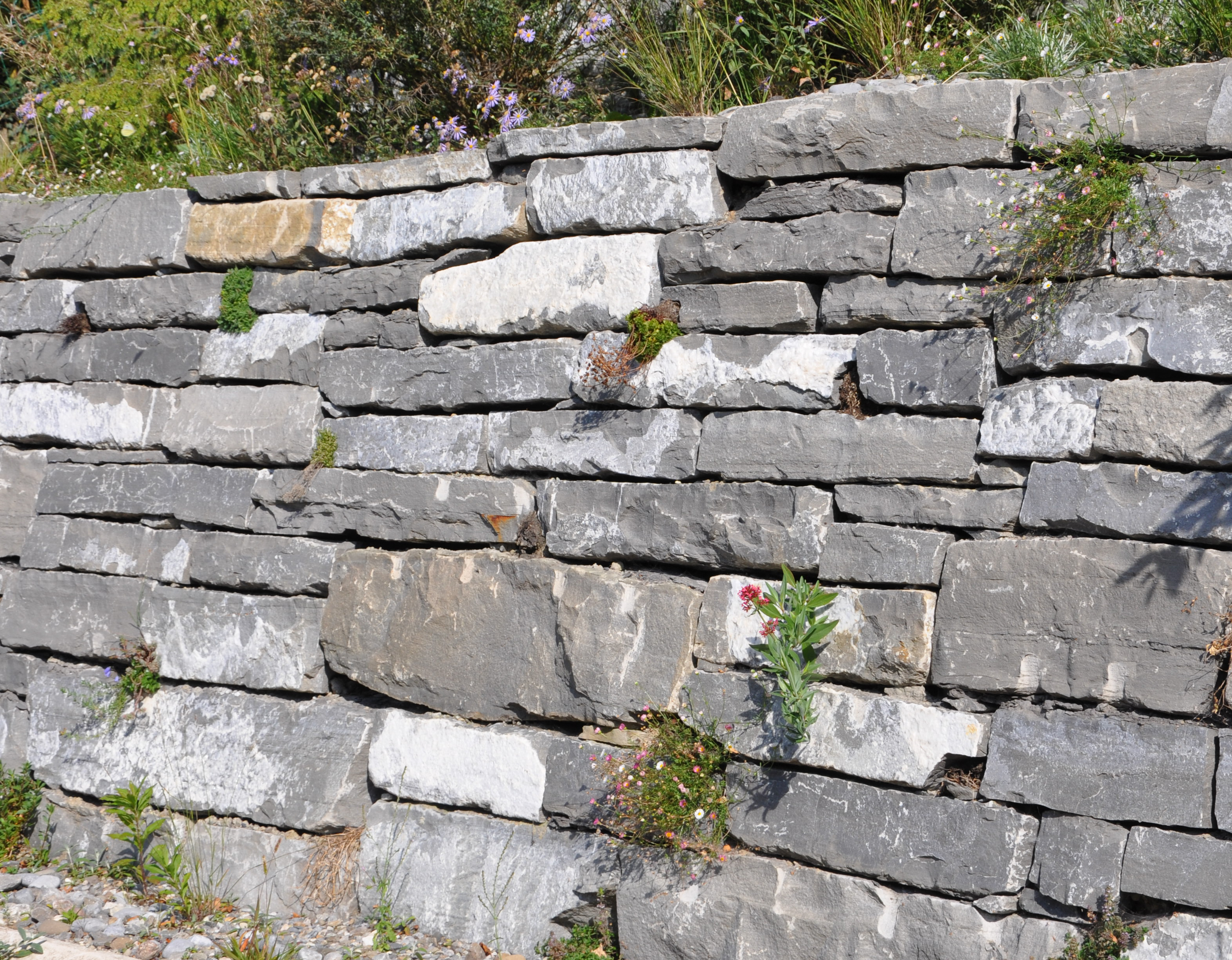 Natursteinmauer mit bepflanzten Fugen