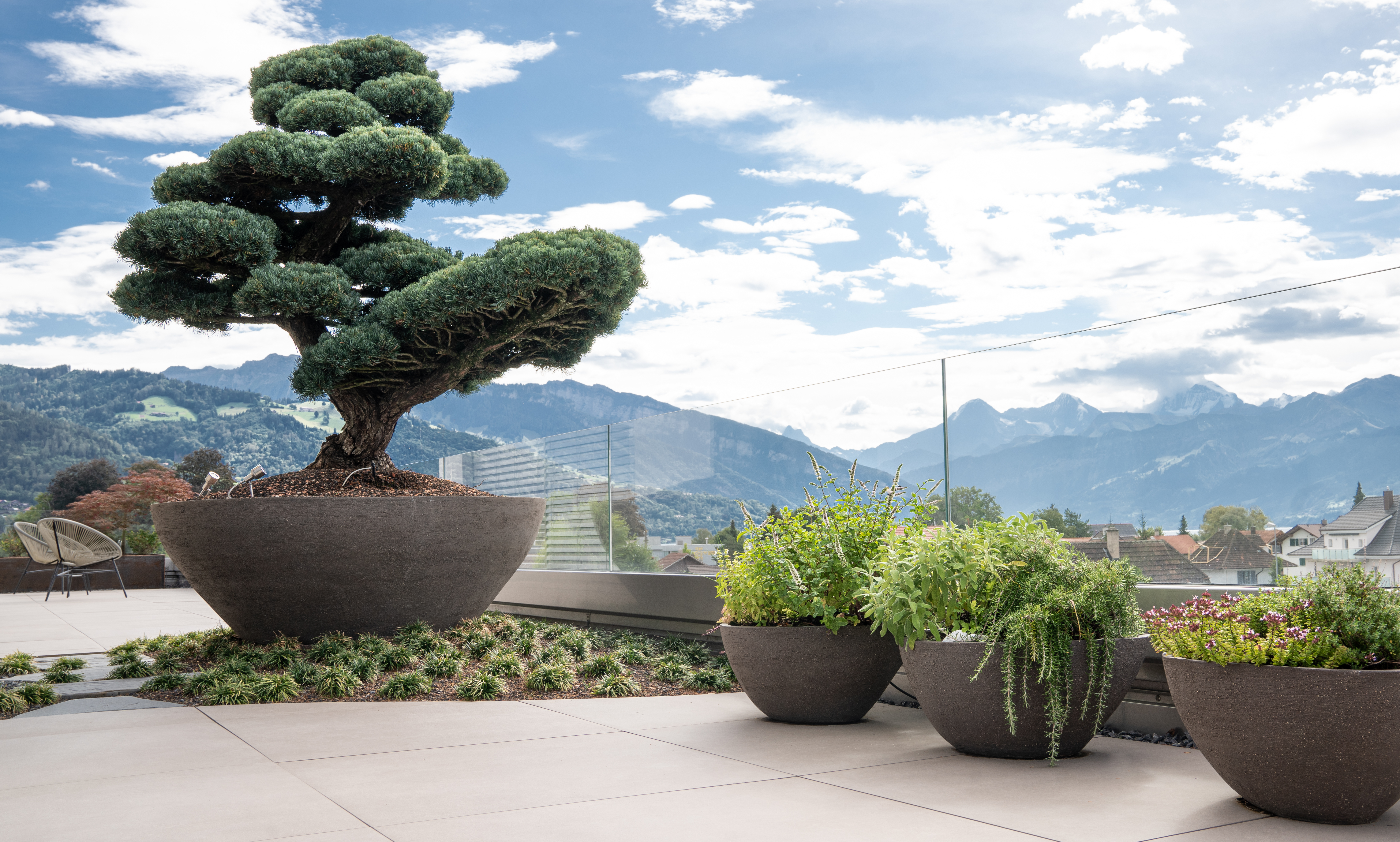 Bonsai auf Terrasse