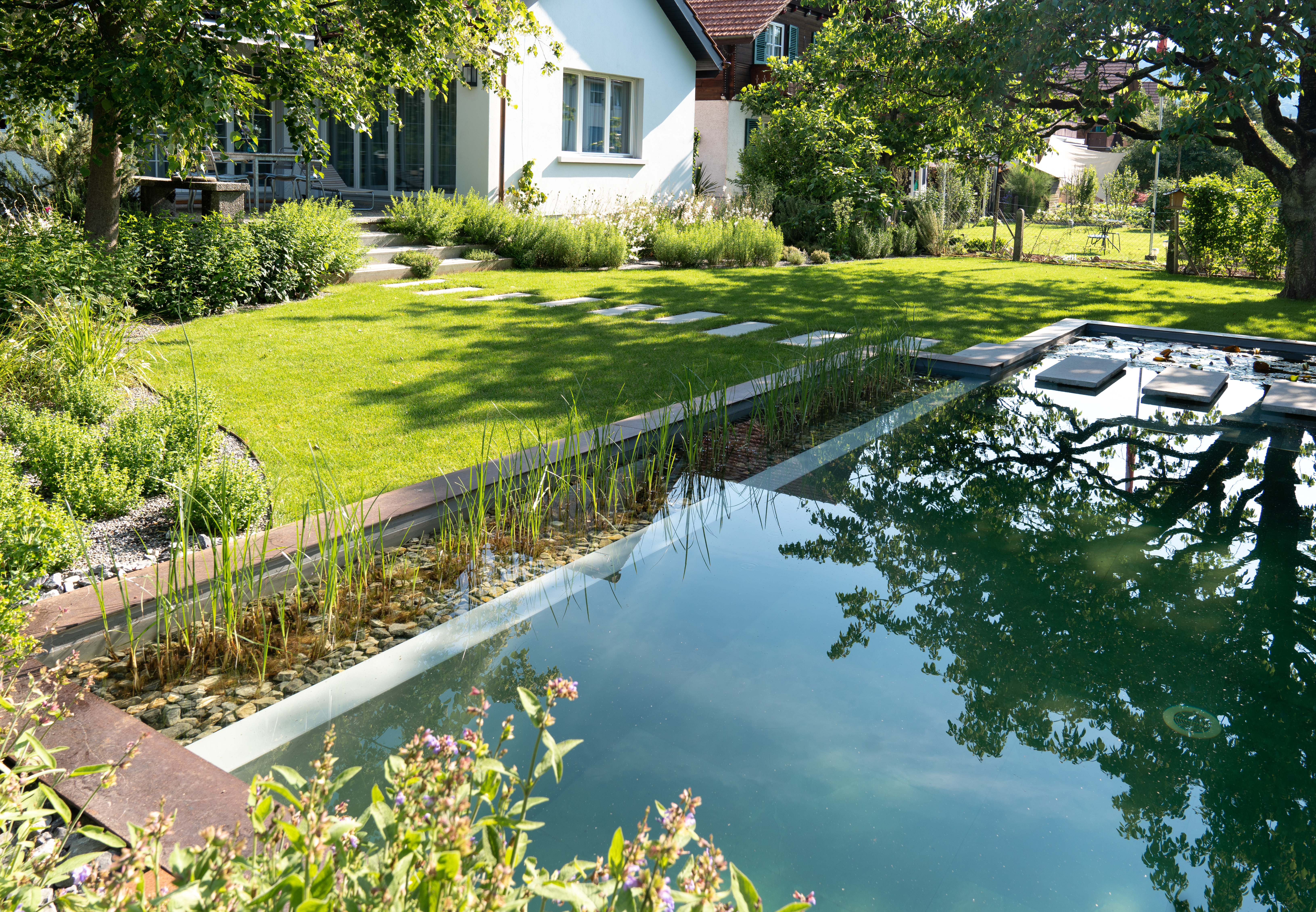 Garten mit Naturpool