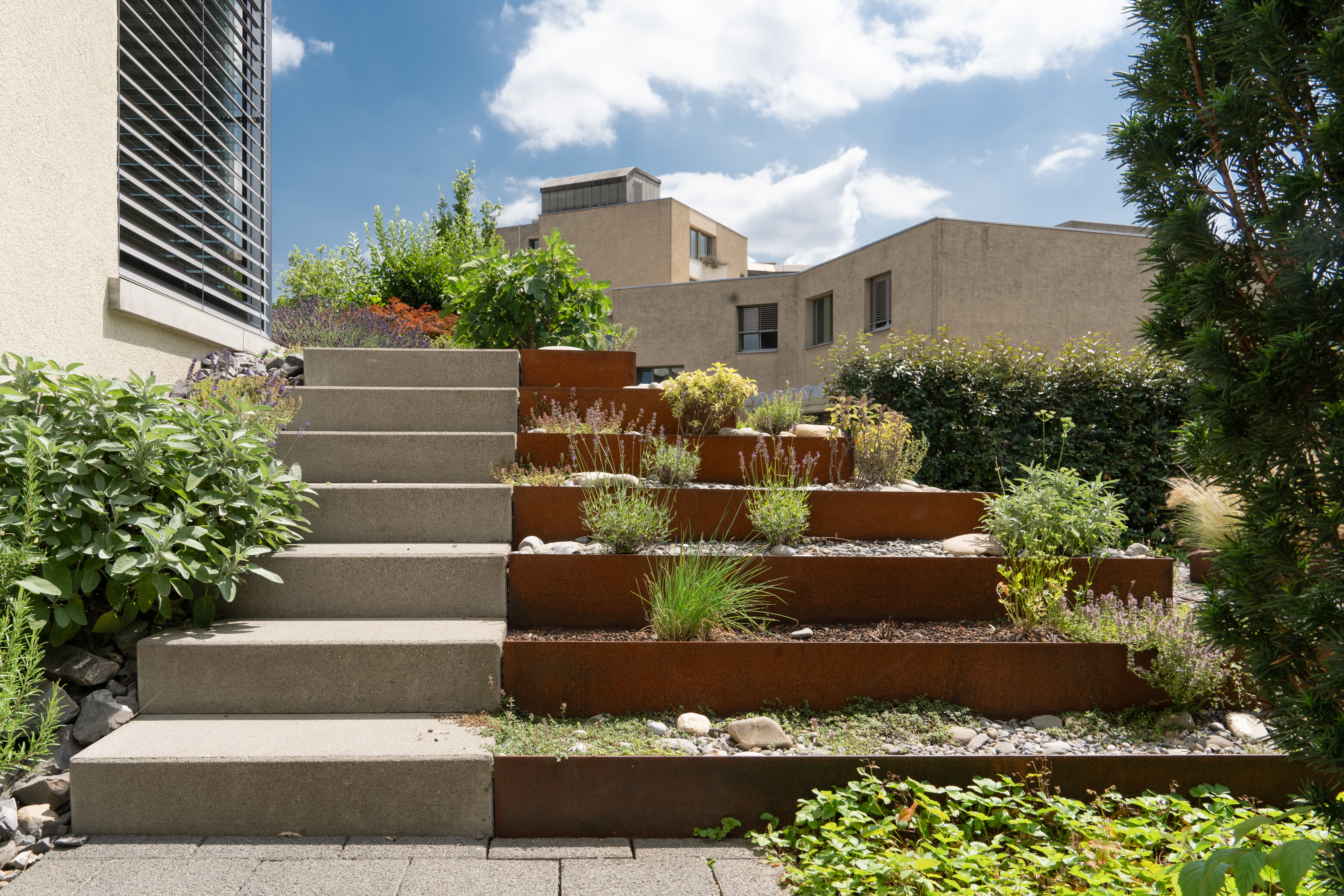 bepflanzte Garten- und Kräutertreppe in Einem