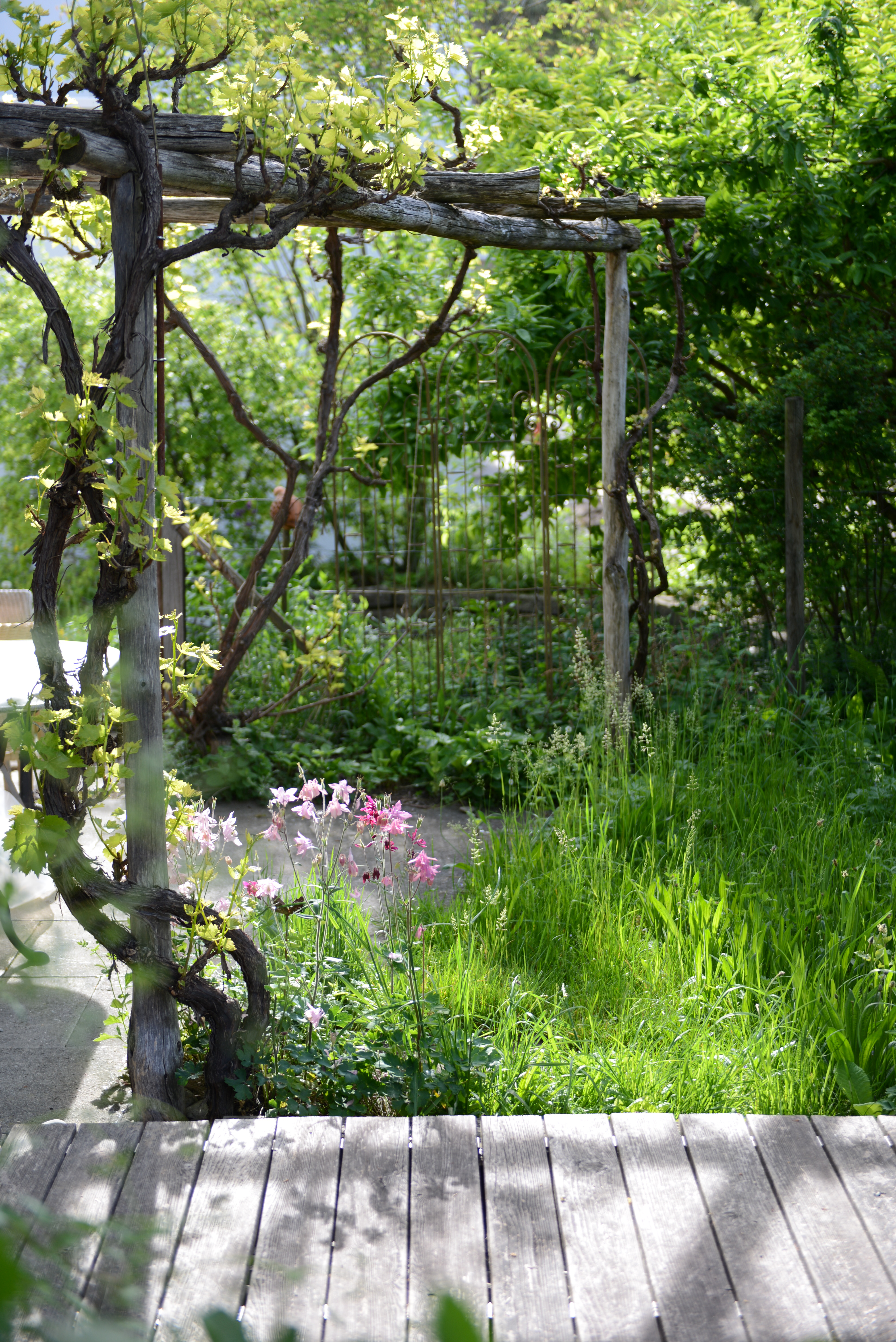 malerische Pergola in im naturnahen Garten
