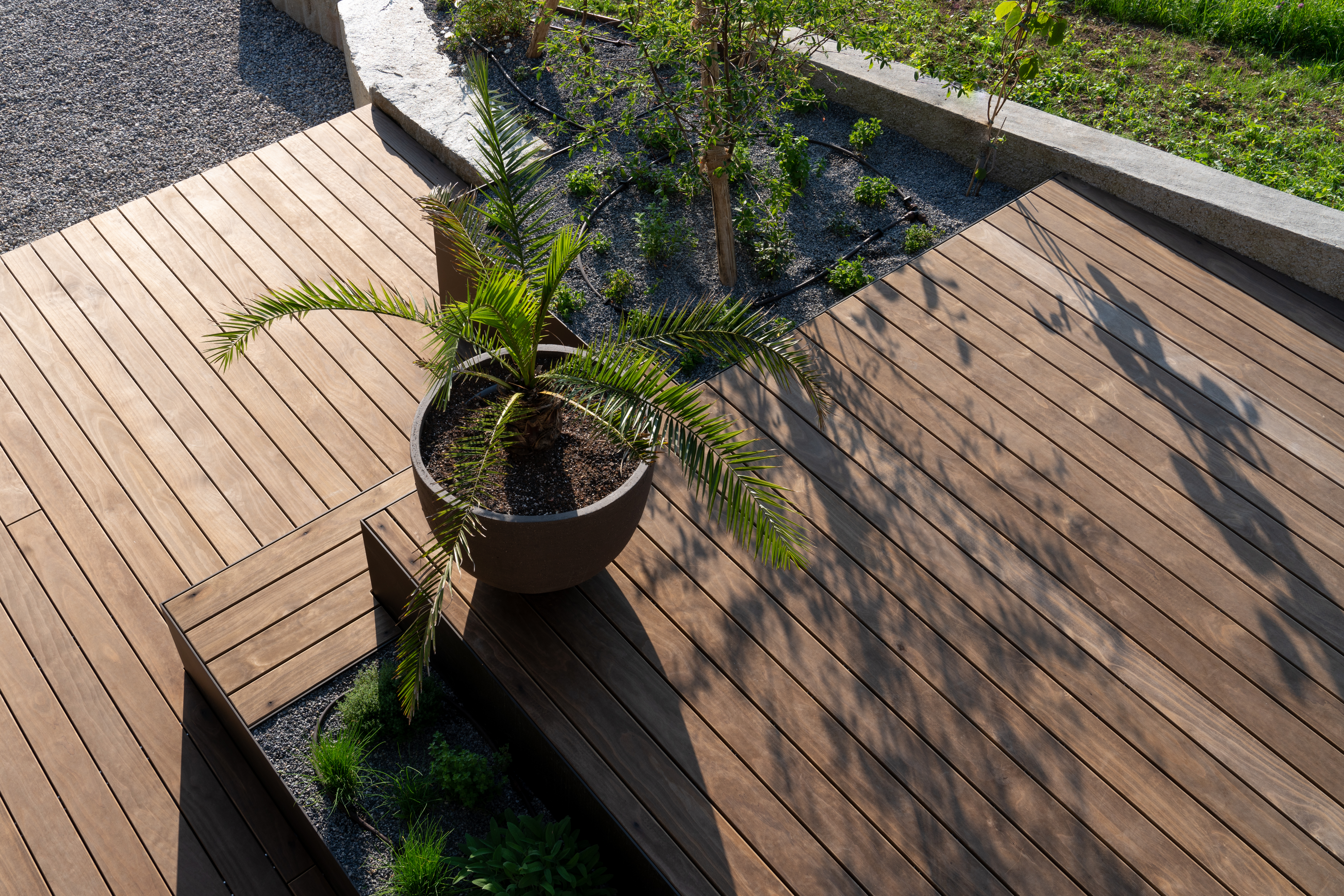Kleine Topfpflanze auf abgestuftem Holzboden mit schmalen Lamellen, kleine Gartenbeete mit Bewässerungssystem daneben
