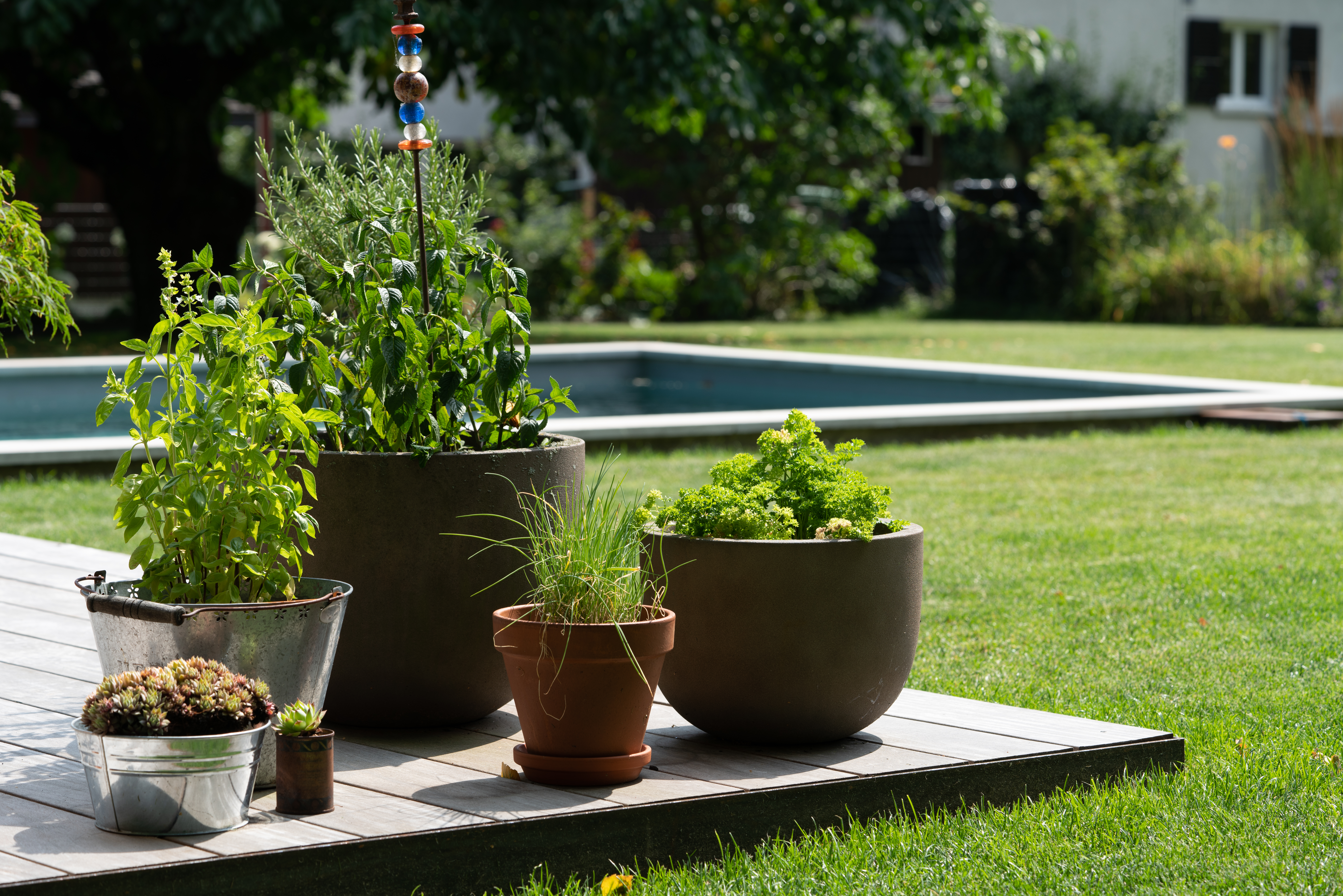 ein kleiner Kräutergarten geschickt eingetopft