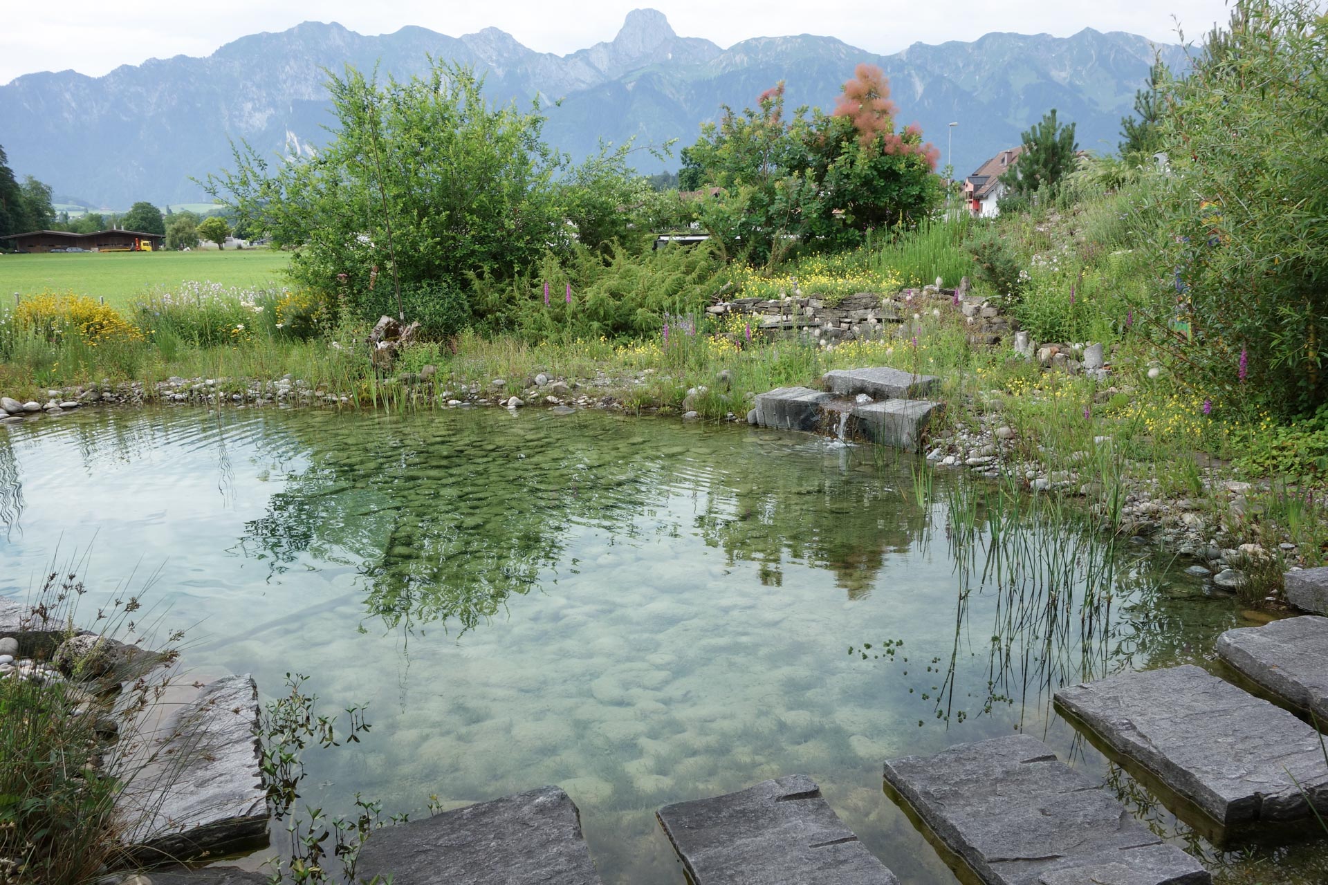 Grosser naturnah angelegter Teich mit Quellstein
