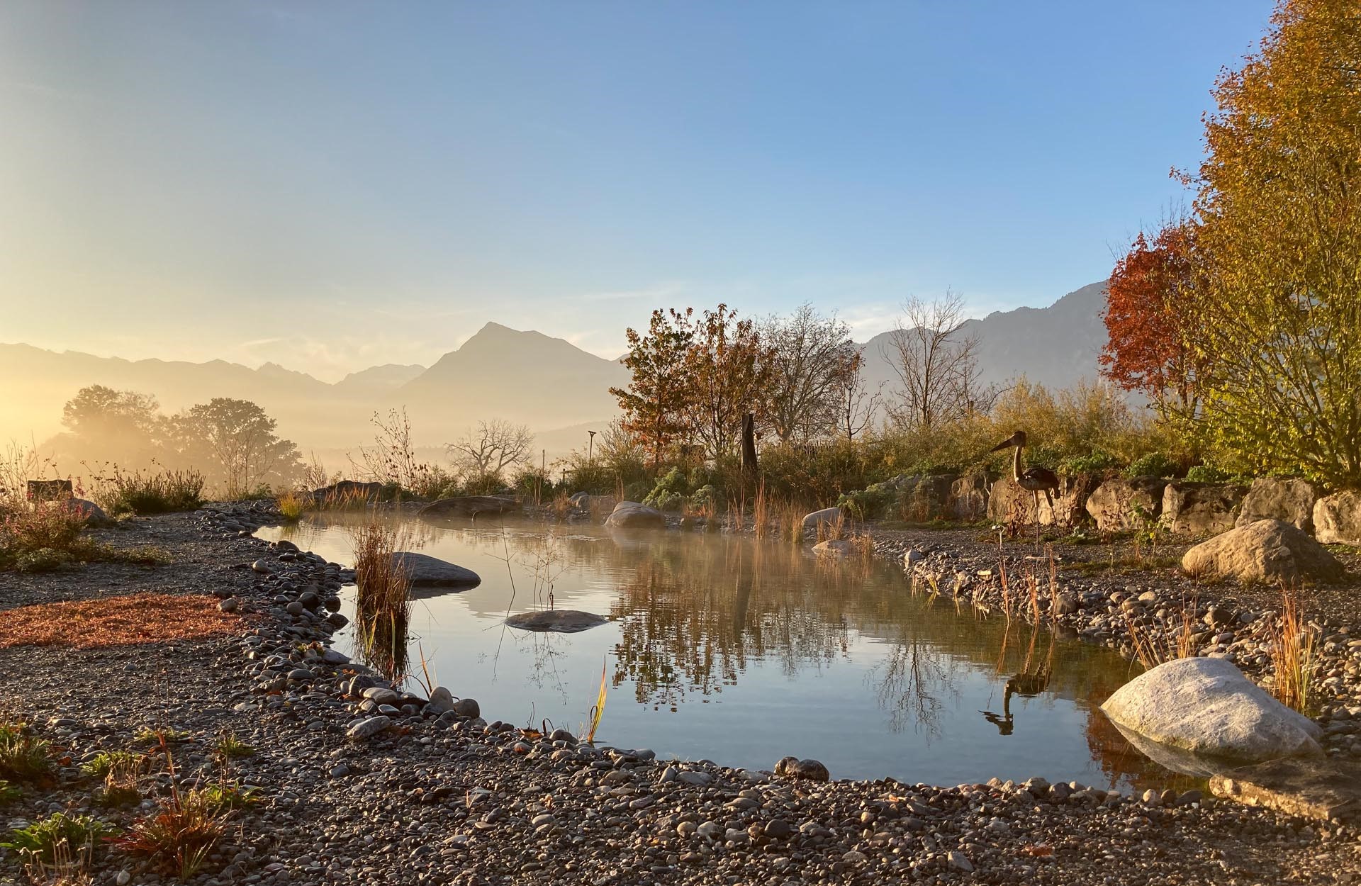 Feuchtbiotop im Herbst