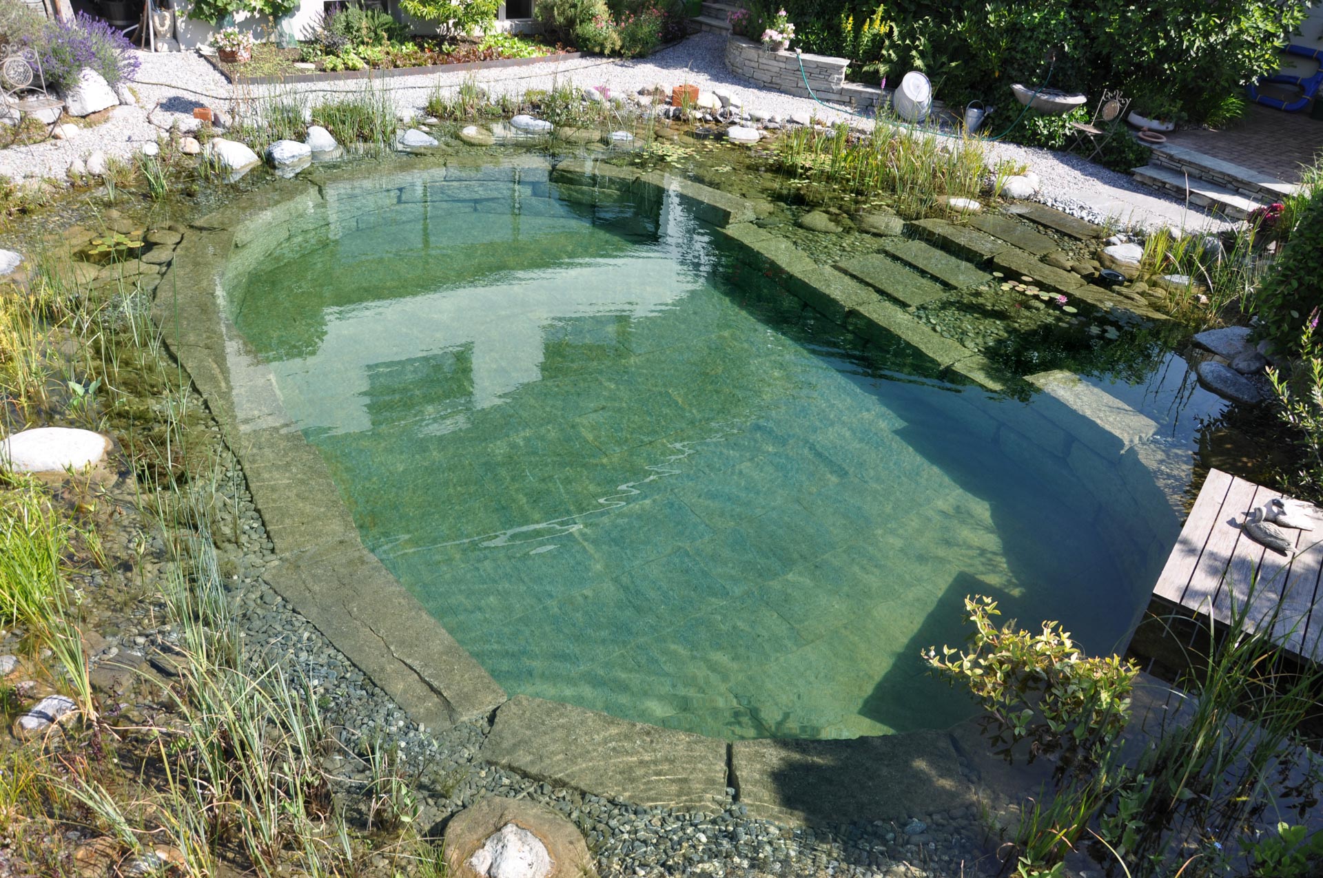 Frisch realisierter Schwimmteich im Garten