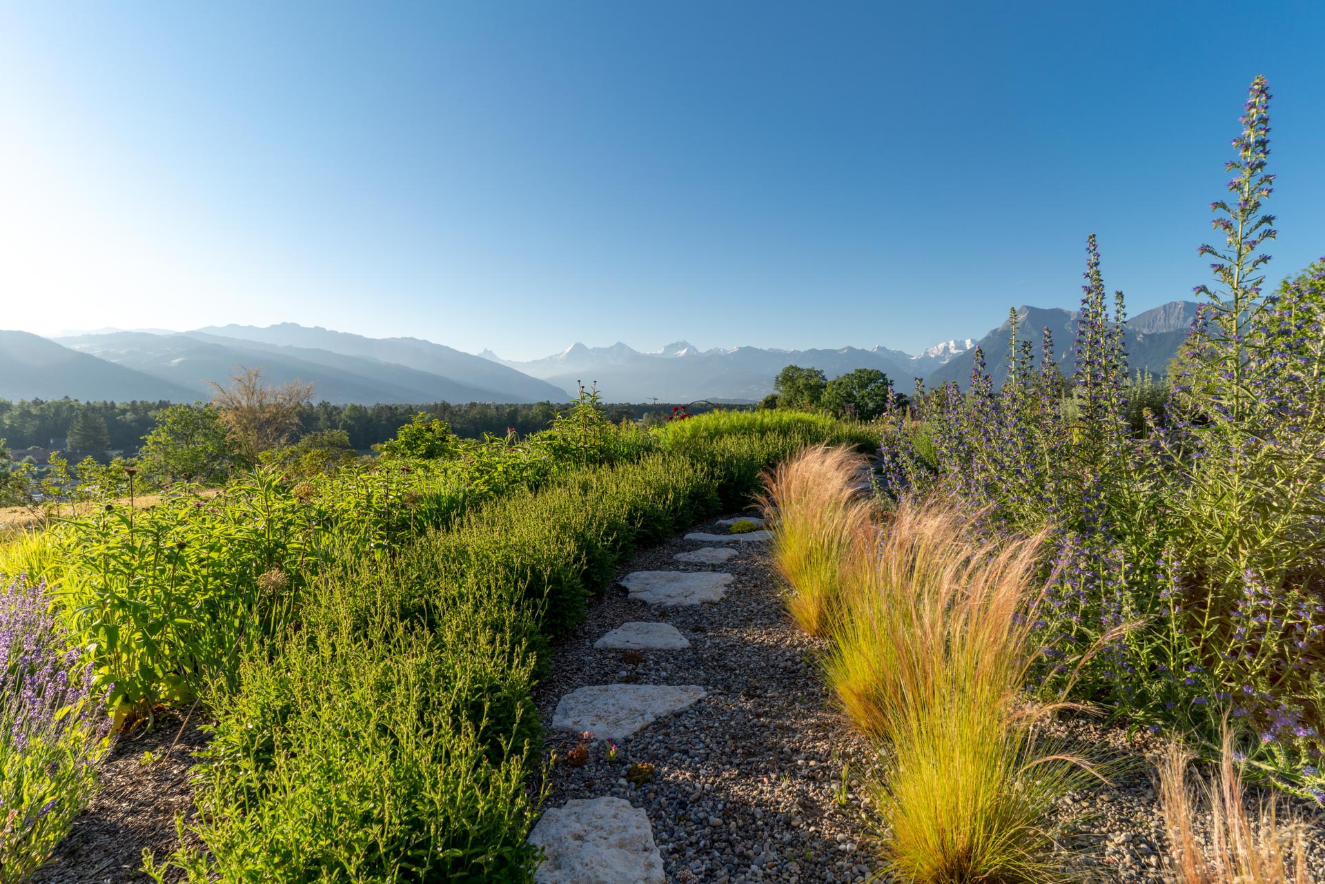Ein Gartenweg führt durch fein abgestimmte Staudenbepflanzung