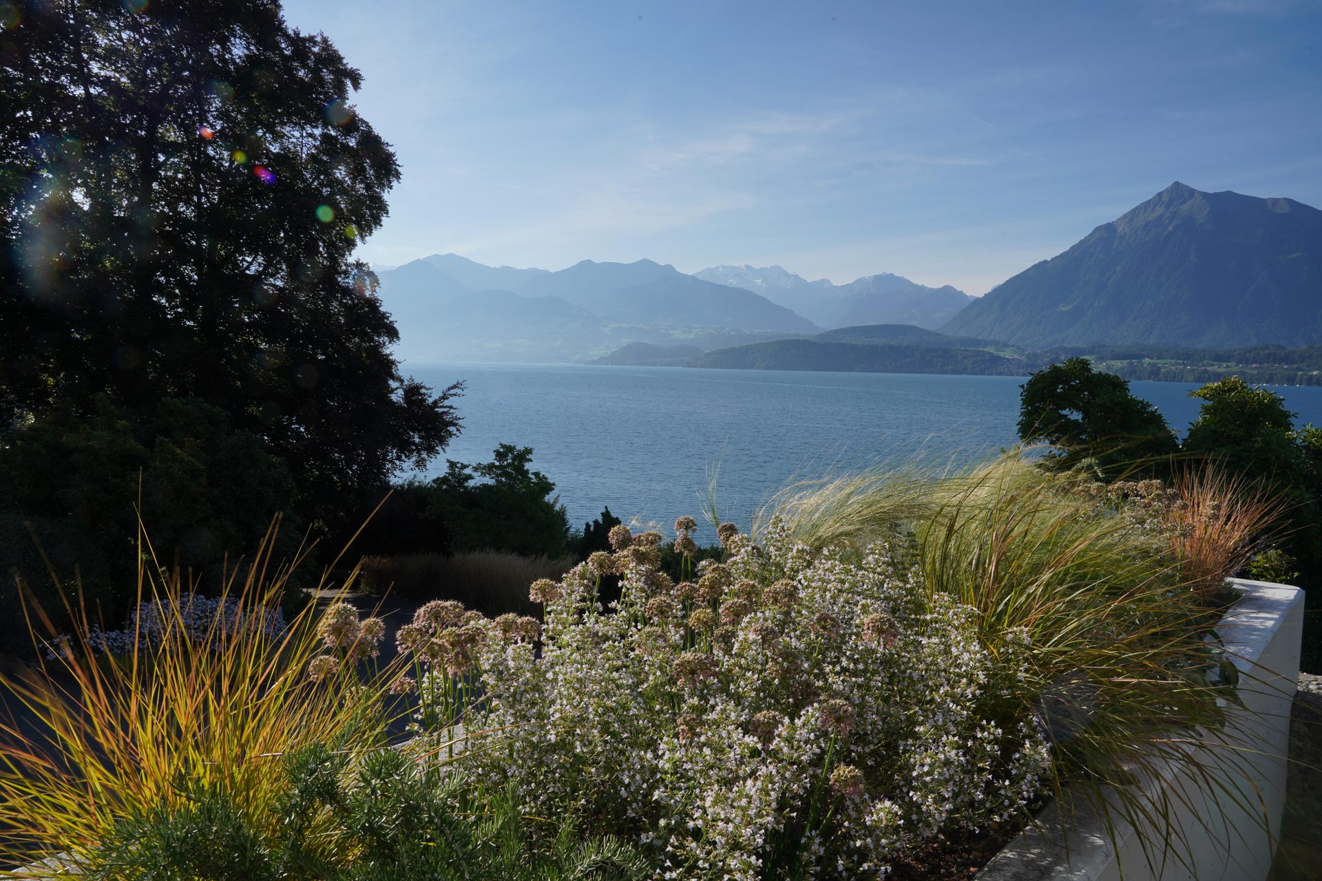 Herbstfarben auf der Terrasse: mit Kräutern und Gräsern bepflanztes Gefäss