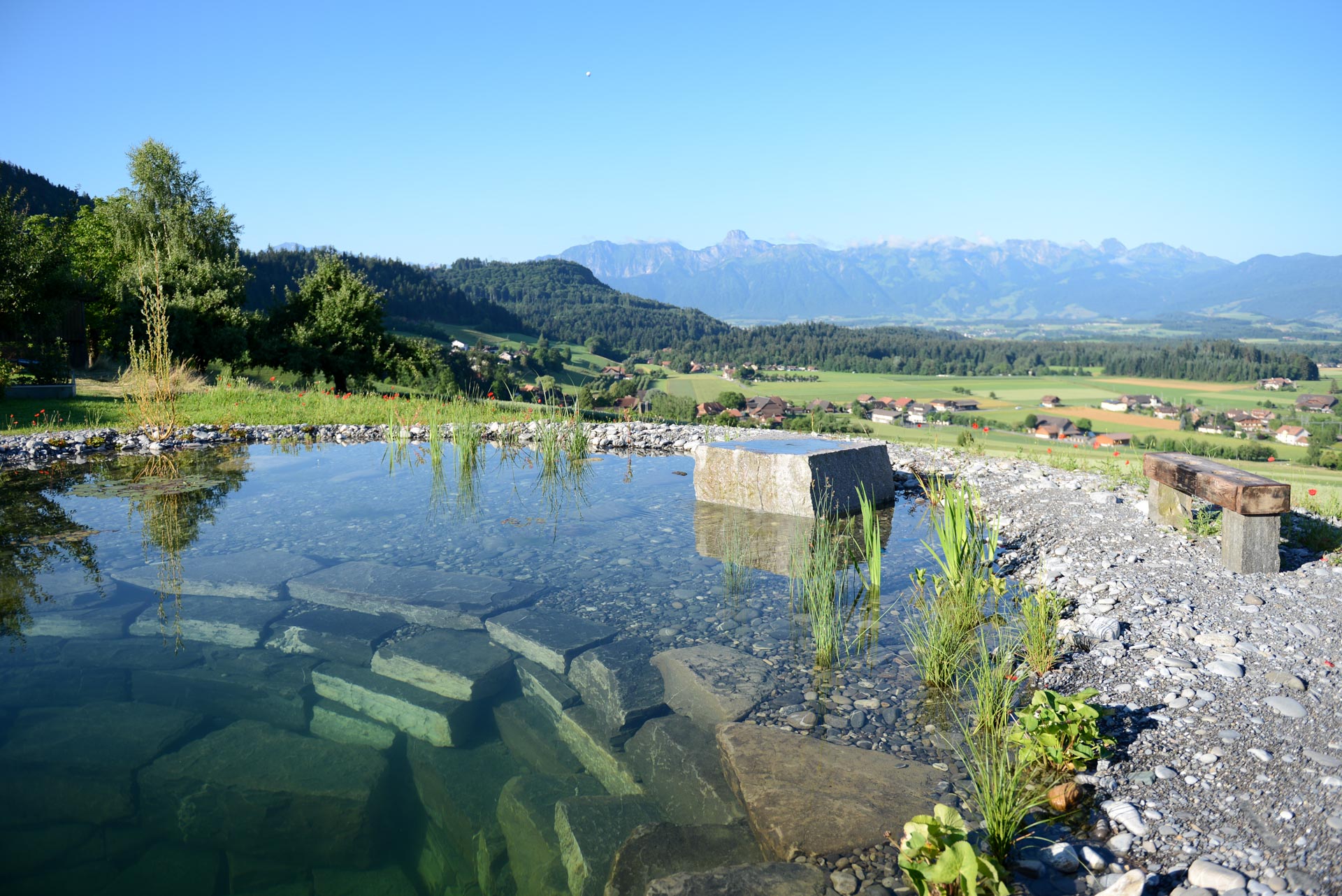 runder, tiefer Schwimmteich mit glasklarem Wasser