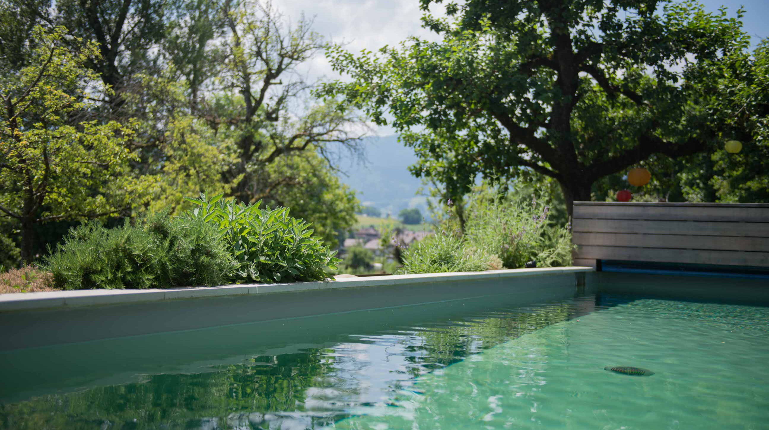 Infinity-Pool mit natürlicher Wasseraufbereitung von Swissteich