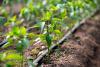 Gartenbewässerung