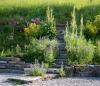 Natursteintreppe mit Bepflanzung