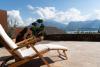 Sicht- und Windschutz für Ihre Terrasse